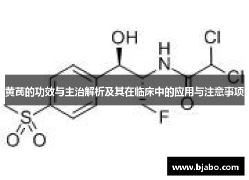 黄芪的功效与主治解析及其在临床中的应用与注意事项